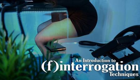 An Introduction to ( f )interrogation Techniques (4K) - Obey Lady Ashley - FinDom Mind Fuck FemDom Mental Domination
