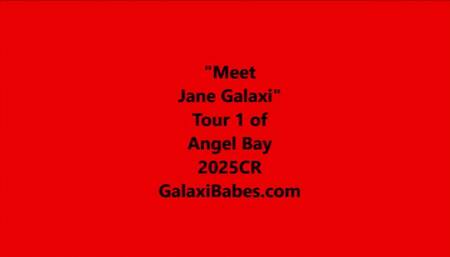 Jane's AI Bots at Second Life mp4