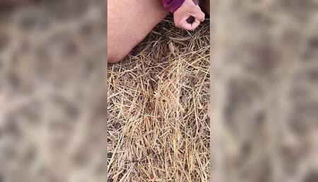 Desi Hot Indian Girl Fucked Hard in Jungle by His Boyfriend Desi Hindi Sex Video