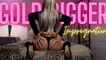 Gold Digger Impregnation