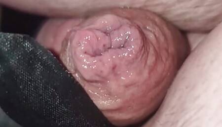 Tiny Clitty Dick Sissy Alicia Smallz Wet and In Panties