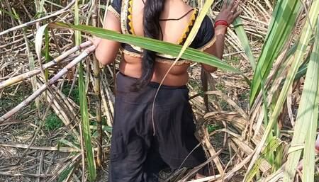 My sexy wife and I in the sugarcane field in Mast Chudai Indian Video