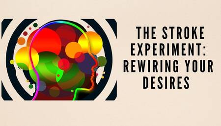 The NLP toolbox: The Stroke Experiment - Rewiring Your Desires