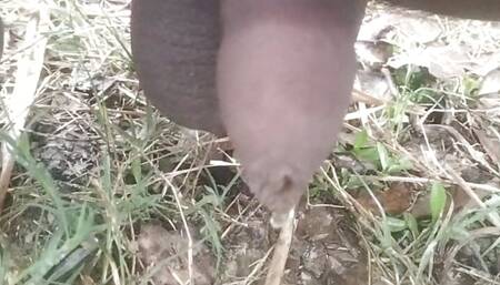 Subah kohre me handjob