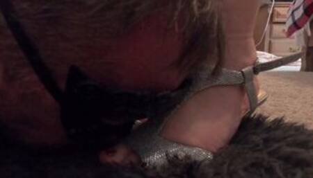 Dominant Wife Breaks Husband into Submission | Ball Kicking Sub Hubby