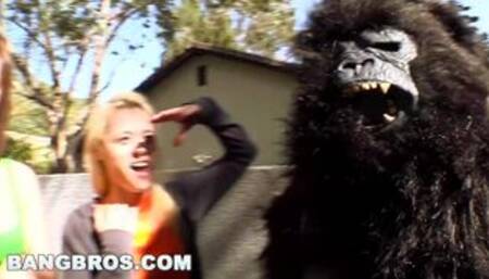 Rebecca Blue, Tara Lynn Fox and Katie Summers Monkey Around