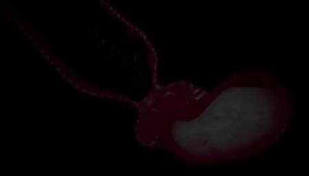 CARNAL INSTINCT big cock reaches the uterus and cums