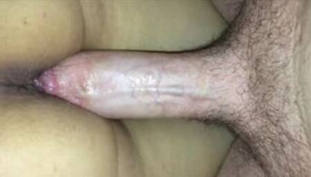 Trying to Impregnate her Before Her New Bull Knocks Her Up (Cuck Breeding)