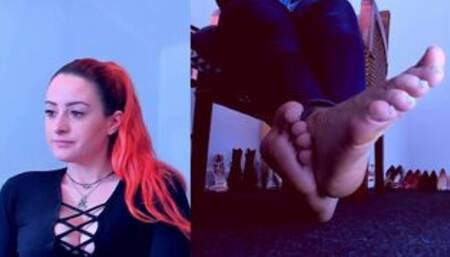 This is your new home under my desk with the most amazing view of my feet