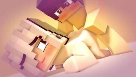 MINECRAFT - STEVE FUCKS JENNY