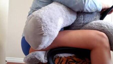 Humping elephant in chair