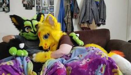 Sexy Furry movie night