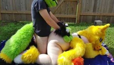 Furry backyard Sex