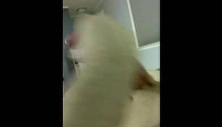 Straight bro with huge dick gets handjob